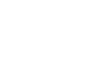 Wärmebildkamera Warnleuchten Taschenlampen Ölbindemittel Warndreieck "Feuerwehr" Atemschutzüberwachung Einsatzleiterkoffer 70cm und 4m Handfunkgeräte 2 6kg Pulverlöscher